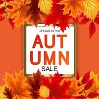 Abstract Autumn Sale Background with Falling Autumn Leaves vector