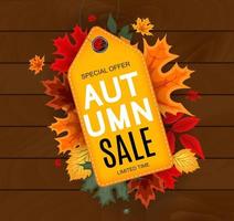 Abstract Autumn Sale Background with Falling Autumn Leaves vector