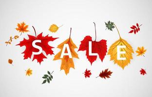 Abstract Autumn Sale Background with Falling Autumn Leaves vector