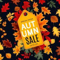 Abstract Autumn Sale Background with Falling Autumn Leaves vector