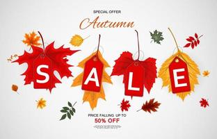 Abstract Autumn Sale Background with Falling Autumn Leaves vector