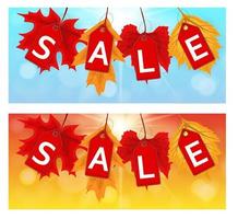 Abstract Autumn Sale Background with Falling Autumn Leaves vector