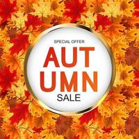 Abstract Autumn Sale Background with Falling Autumn Leaves vector