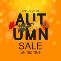 Abstract Autumn Sale Background with Falling Autumn Leaves vector