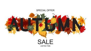 Abstract Autumn Sale Background with Falling Autumn Leaves vector