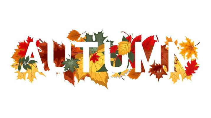 Abstract Vector Illustration Background with Falling Autumn Leaves