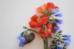 A bouquet flowers lie on a white background photo