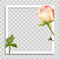 Empty Photo Frame Template with Spring Flowers for Media Post vector