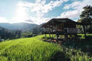 Rice fields on the mountain in the evening photo