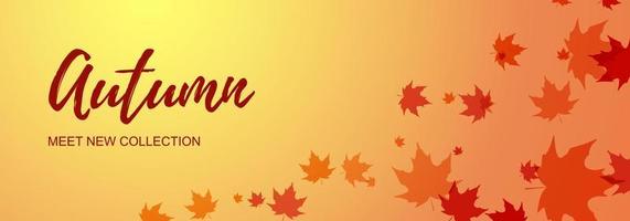 banner horizontal de otoño con hojas de arce. lugar para el texto. ilustración vectorial vector