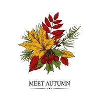 Hand drawn autumn design with maple and rowanberry leaves and berries and larch brunch isolated on white background. Vector illustration in colored sketch style.