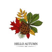 Hand drawn autumn design with chestnut, maple and rowanberry leaves and pinecone isolated on white background. Vector illustration in colored sketch style.