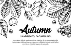 Horizontal hand drawn autumn design with leaves and berries. Vector illustration in sketch style isolated on white.