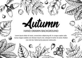 Horizontal hand drawn autumn design with leaves and berries. Vector illustration in sketch style isolated on white.