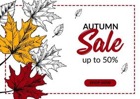 Hand drawn autumn sale banner with colorful maple leaves. Horizontal autumn design with space for text. Vector illustration