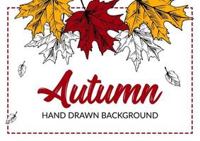 Hand drawn autumn background with colorful maple leaves. Horizontal autumn design with space for text. Vector illustration