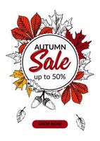 Banner de venta de otoño dibujado a mano con hermosas hojas. diseño de otoño vertical con espacio para texto. ilustración vectorial vector