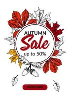 Hand drawn autumn sale banner with beautiful leaves. Vertical autumn design with space for text. Vector illustration