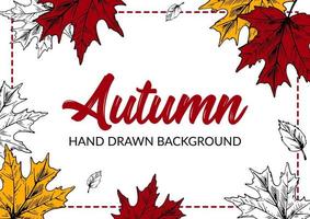 Hand drawn autumn background with colorful maple leaves. Horizontal autumn design with space for text. Vector illustration