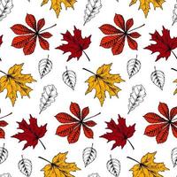 Botanical seamless pattern with red and yellow maple leaves on white background. Autumn design. Hand drawn sketch vector illustration. Vintage line art