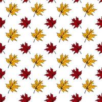 Botanical seamless pattern with red and yellow maple leaves on white background. Autumn design. Hand drawn sketch vector illustration. Vintage line art