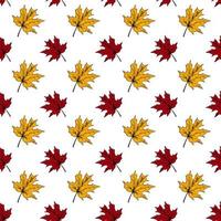 Botanical seamless pattern with red and yellow maple leaves on white background. Autumn design. Hand drawn sketch vector illustration. Vintage line art