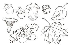 Hand Drawn Harvest Elements Collection vector