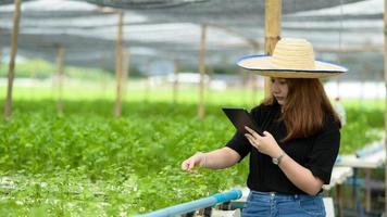 un agricultor adolescente que usa una tableta está cuidando e inspeccionando verduras en un invernadero. foto