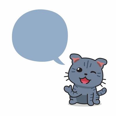 Cartoon character cute tabby cat with speech bubble