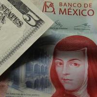 economía y finanzas con dinero mexicano y estadounidense foto