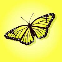 Bright butterfly on a colored background vector