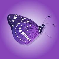 Bright butterfly on a colored background vector