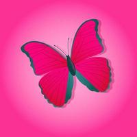 mariposa brillante sobre un fondo de color vector