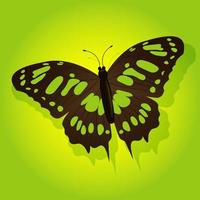 Bright butterfly on a colored background vector