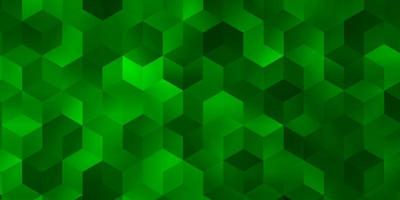 Light Green vector layout with hexagonal shapes.