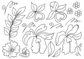 ilustración floral en estilo de dibujo a mano vector