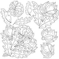 Floral illustration in hand draw style vector