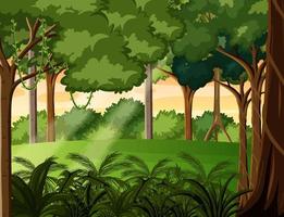 Nature forest landscape background vector