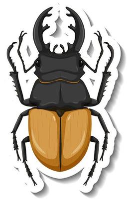 A sticker template with top view of a stag beetle isolated