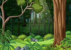 Nature forest landscape background vector