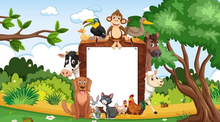 Empty wooden frame with various wild animals in the forest