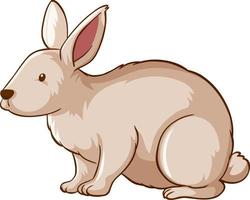 White rabbit animal cartoon on white background vector
