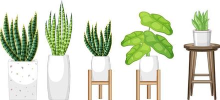 Set of different plants in pots for interior design