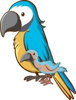 Mother and baby parrot bird cartoon on white background vector