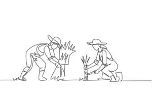 Single one line drawing of couple farmer was harvesting rice and there was also rice that had been tied up. Farming challenge minimal concept. Continuous line draw design graphic vector illustration.