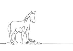 dibujo de una sola línea de un caballo parado firmemente en el pasto. negocio ganadero exitoso dirigido por agricultores profesionales. concepto de minimalismo. Ilustración de vector gráfico de diseño de dibujo de una línea.