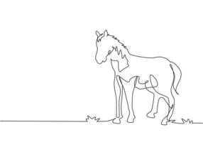 Continuous one line drawing a horse standing firmly on the pasture. Successful livestock business run by professional farmers. Minimalism concept. Single line draw design vector graphic illustration.