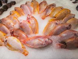 Close up Raw Fresh Fish Chilling on Ice in Seafood Market Stall photo