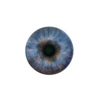 Blue pupil of the human eye photo