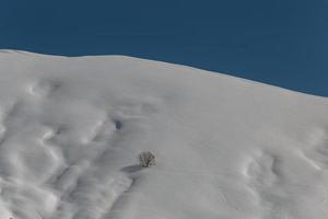 montañas con caminos de esquí de nieve y árboles. foto